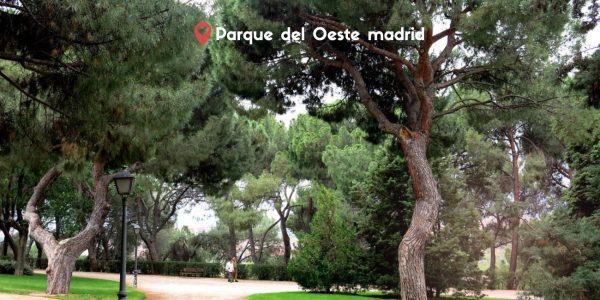 El Parque del Oeste: Donde Madrid Respira, Sueña y Se Enamora (Mi Refugio Favorito)