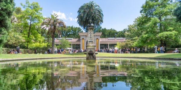 El Real Jardín Botánico de Madrid: Crónica Viva de Ciencia, Historia y Belleza Natural